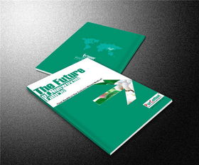 書刊印刷廠的印刷藝術(shù)與流程探析