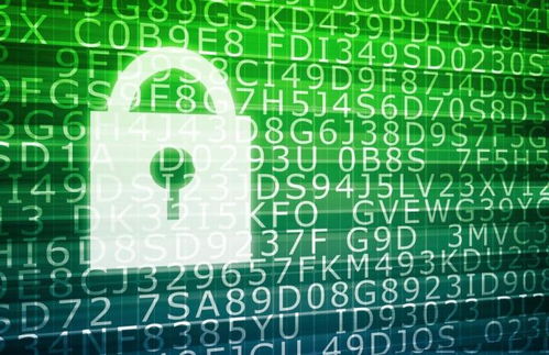 軟件開發與網絡安全 轉型、差旅與專業融合之路